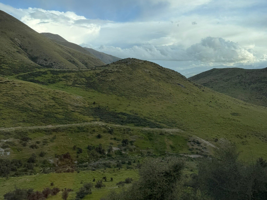 Bauchops Hill Station Farm Tour-菲尔利必去景点