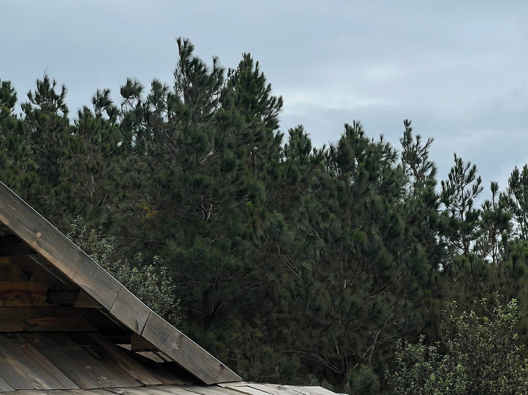 Ta Xua Peak-Son La必去景点