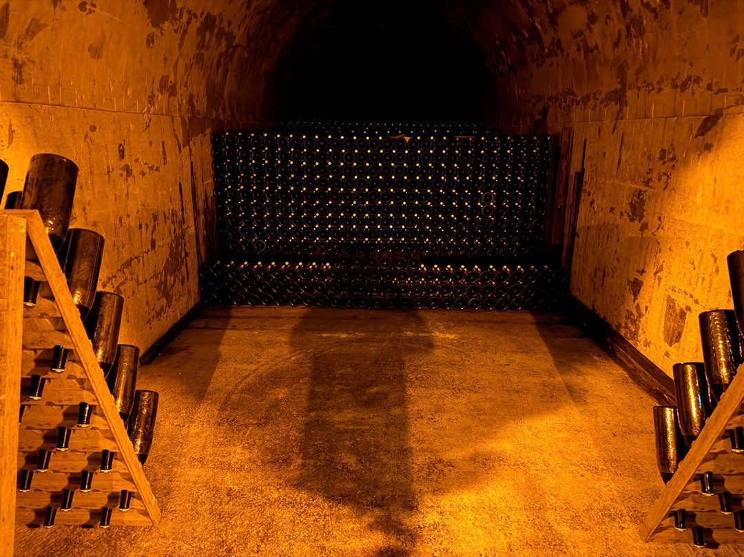 Champagne Taittinger-兰斯必去景点