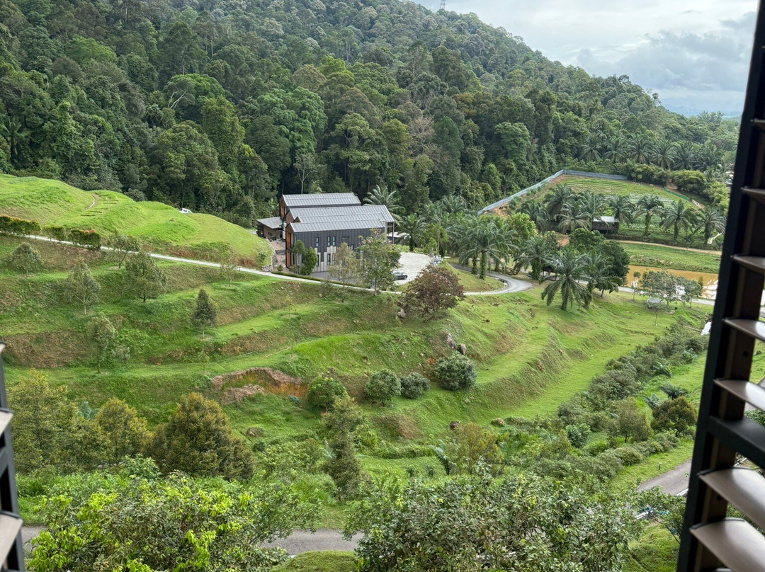 Talula Hill Farm Resort-居銮必去景点
