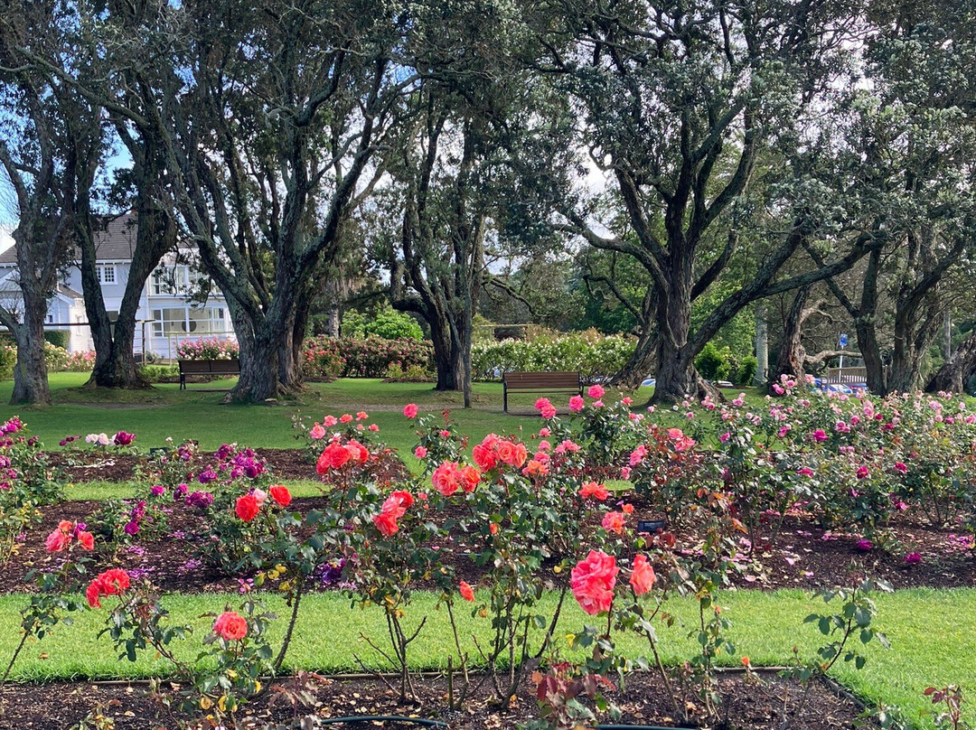 帕内尔玫瑰花园-奥克兰中心地区必去景点