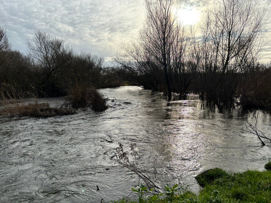 Sculpture By The Lakes-多切斯特必去景点