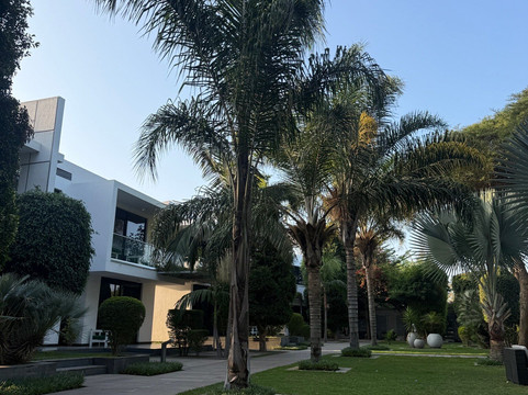 Villa Alpha International Hotel