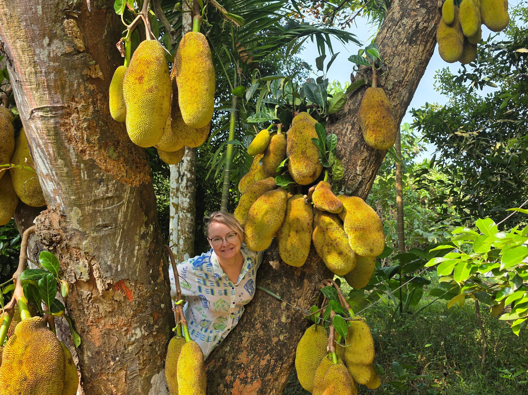 Namasthe Ayurveda And Yoga Retreat-尼杜巴塞莱必去景点