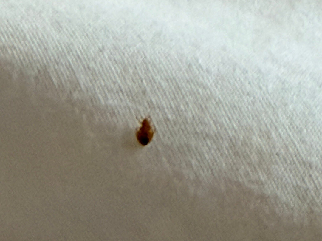 Hampton Inn & Suites Las Cruces I-10主图