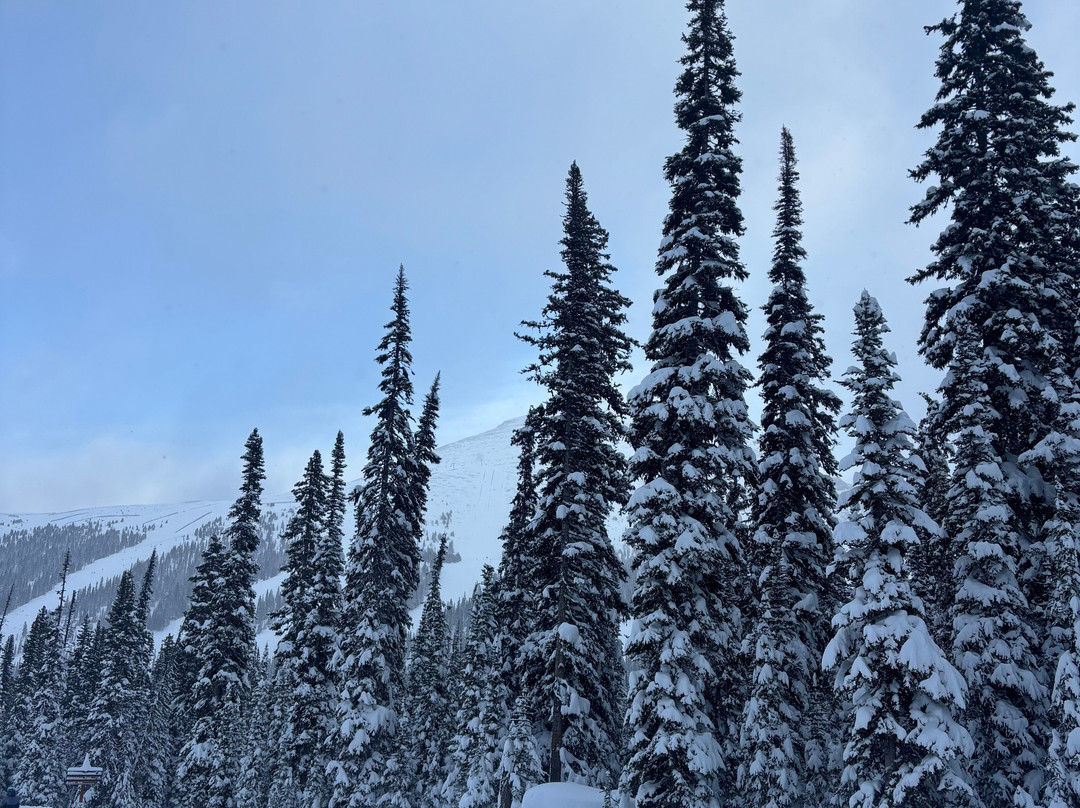 阳光村-班夫国家公园必去景点