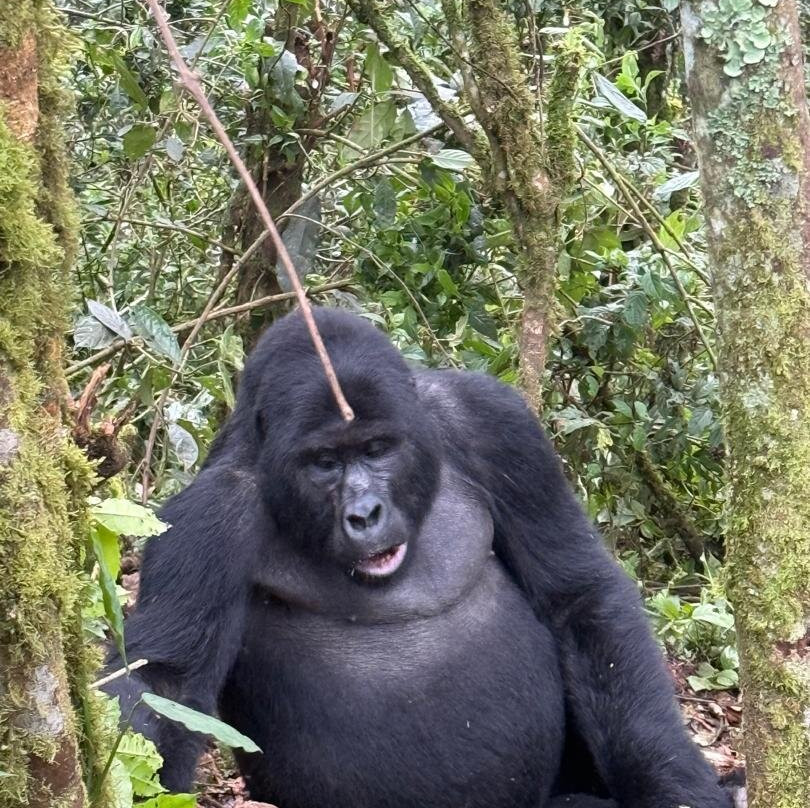 Encounter Africa Safaris-恩德培必去景点