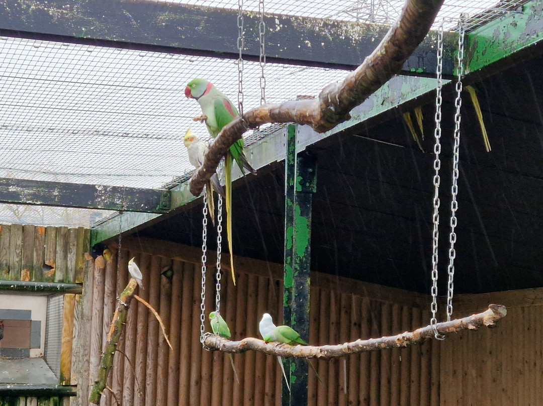 Lincolnshire Wildlife Park-Friskney必去景点