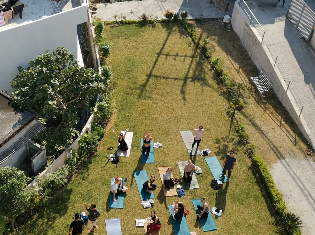 Vinyasa Yogashala-Tapovan必去景点