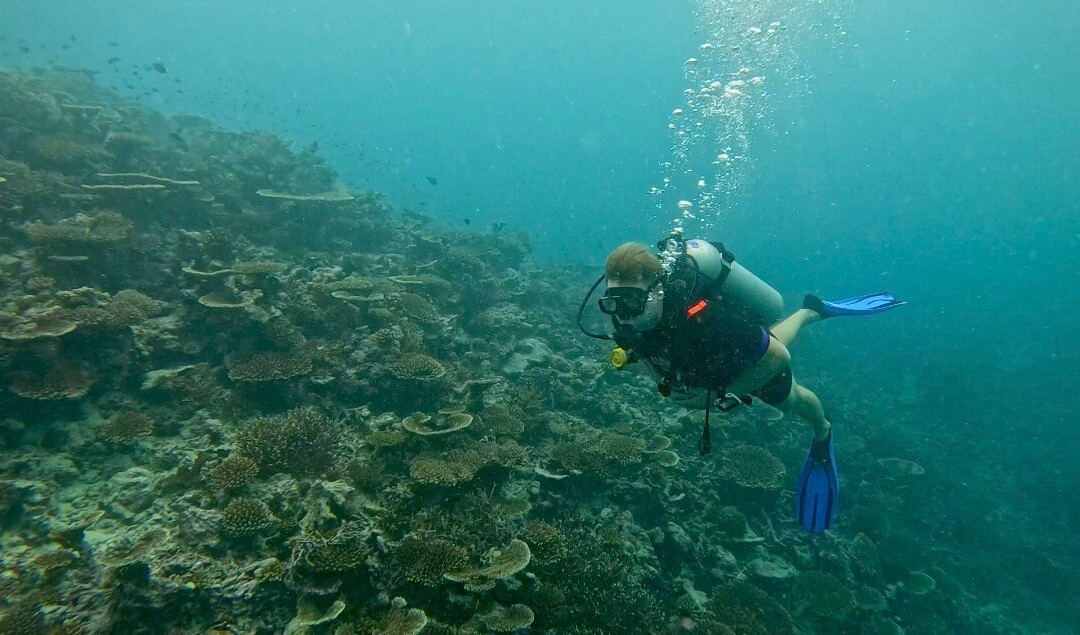 Euro-Divers LUX South Ari Atoll-南阿里环礁必去景点