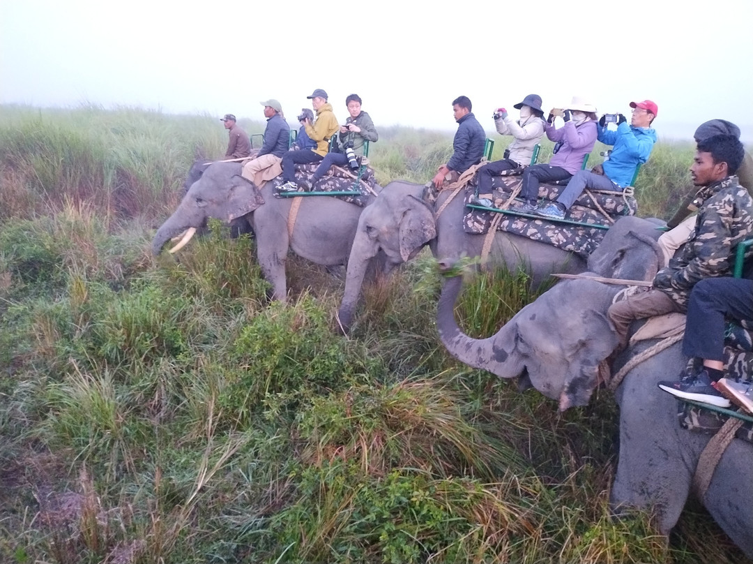 IORA - The Retreat, Kaziranga主图