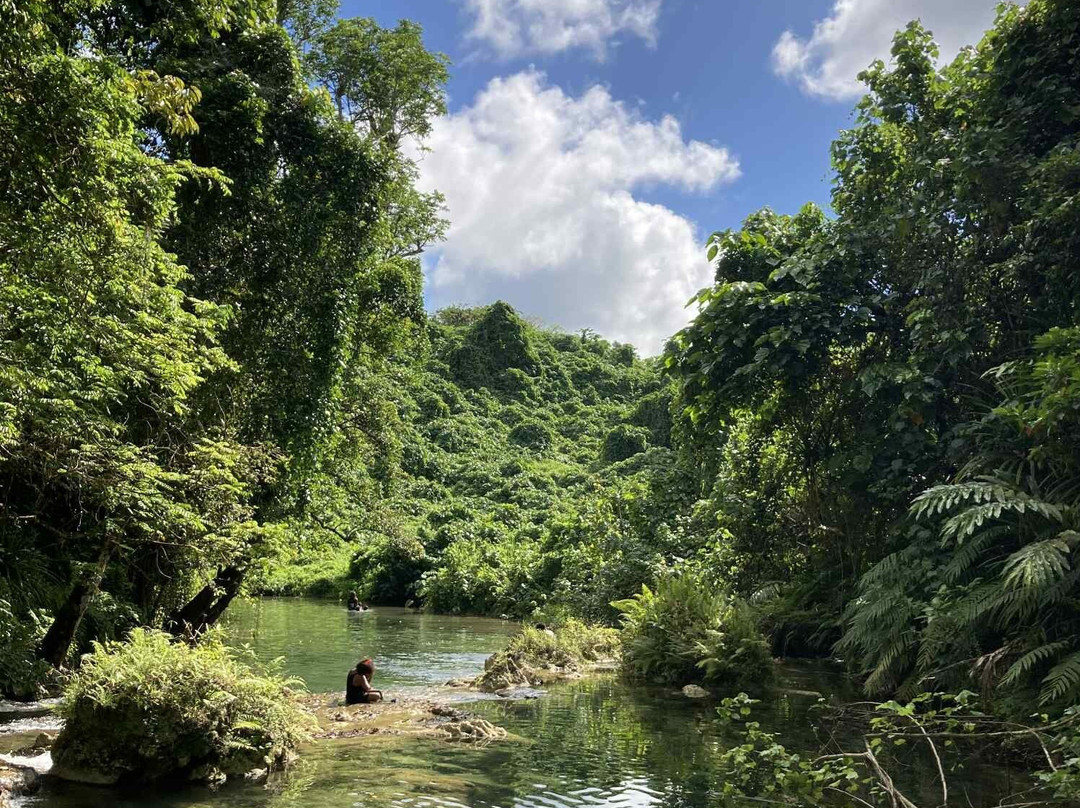 Eden on the River-维拉港必去景点