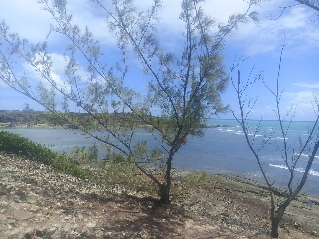 Ilha de Santo Aleixo-Sirinhaem必去景点