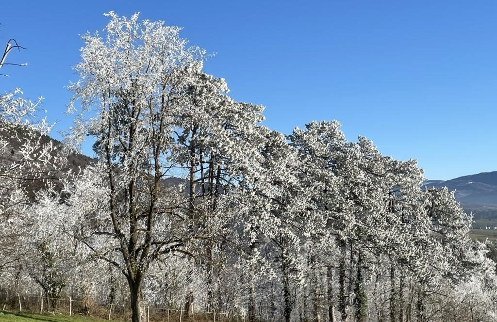 Vorbourg Point de vue Notre Dame du Chêne-德莱蒙必去景点
