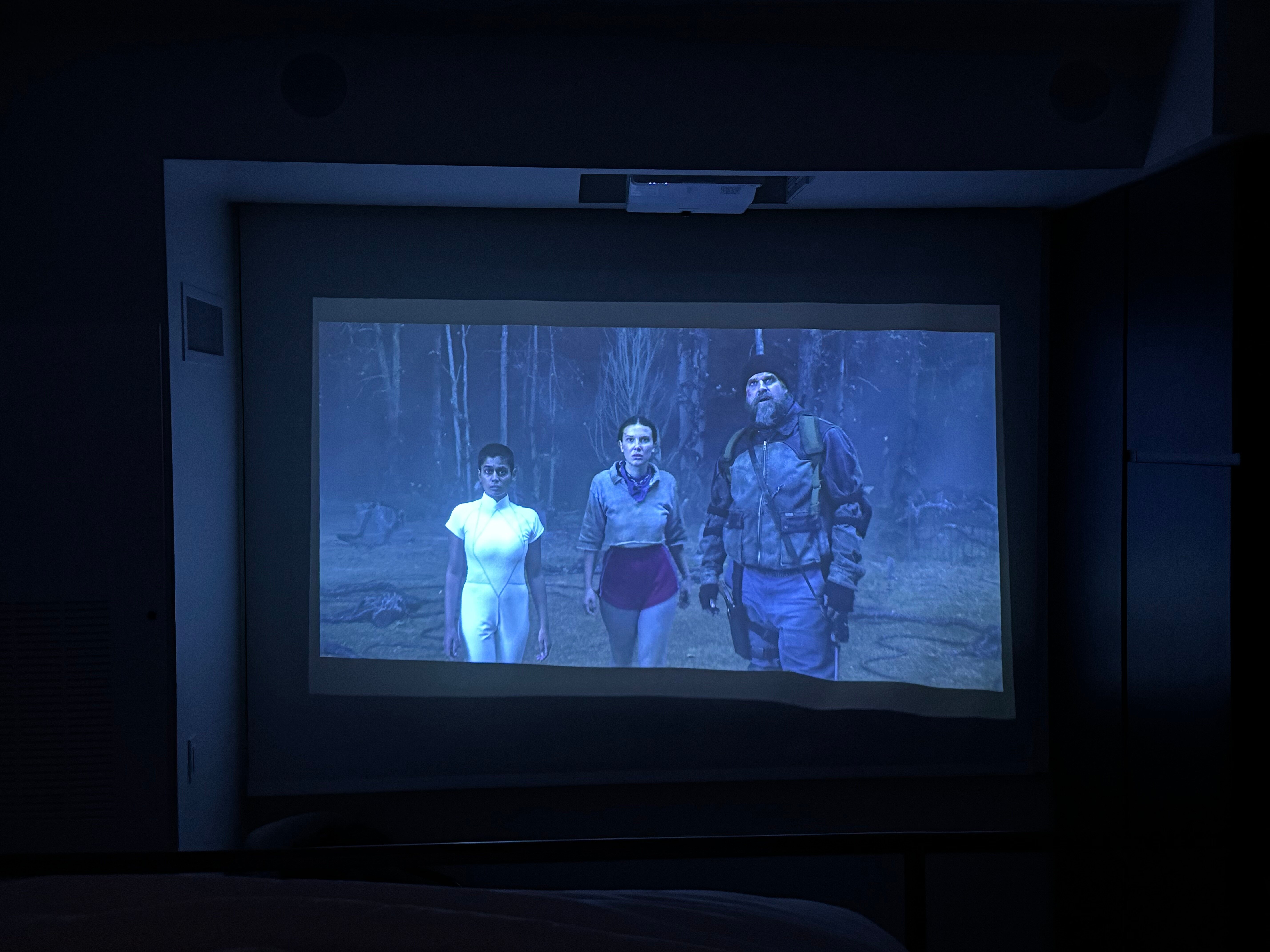 Catbird Hotel-官方