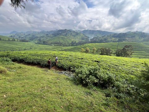 W International Tours-吉佳利必去景点