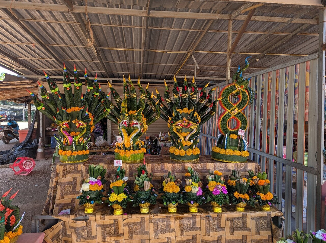 Kham Chanod Forest-万吞必去景点