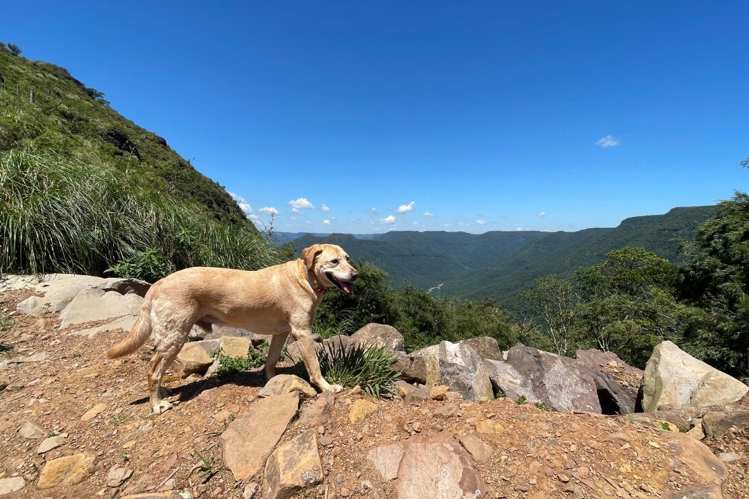 Morro dos Cabritos-Praia Grande必去景点