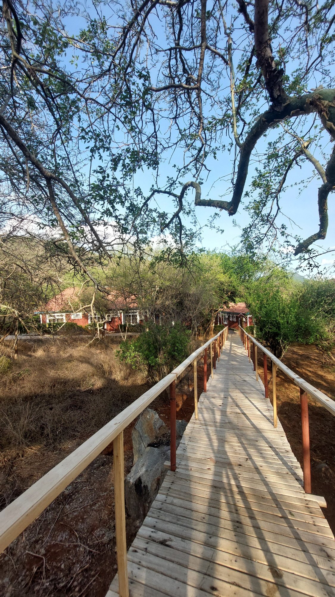 Mkomazi Hotels and Campsite-浴室