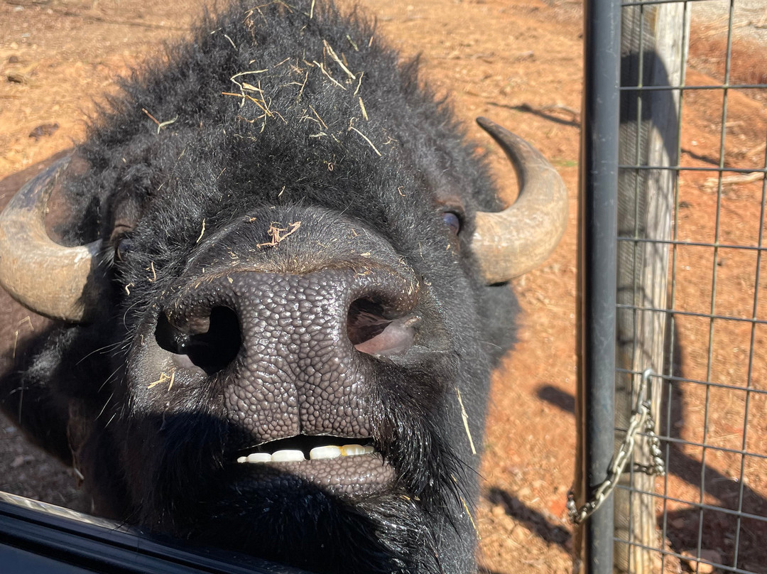 North Georgia Wildlife Park-Cleveland必去景点