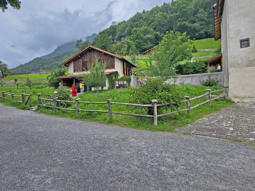 Heidiland-巴德拉加兹必去景点