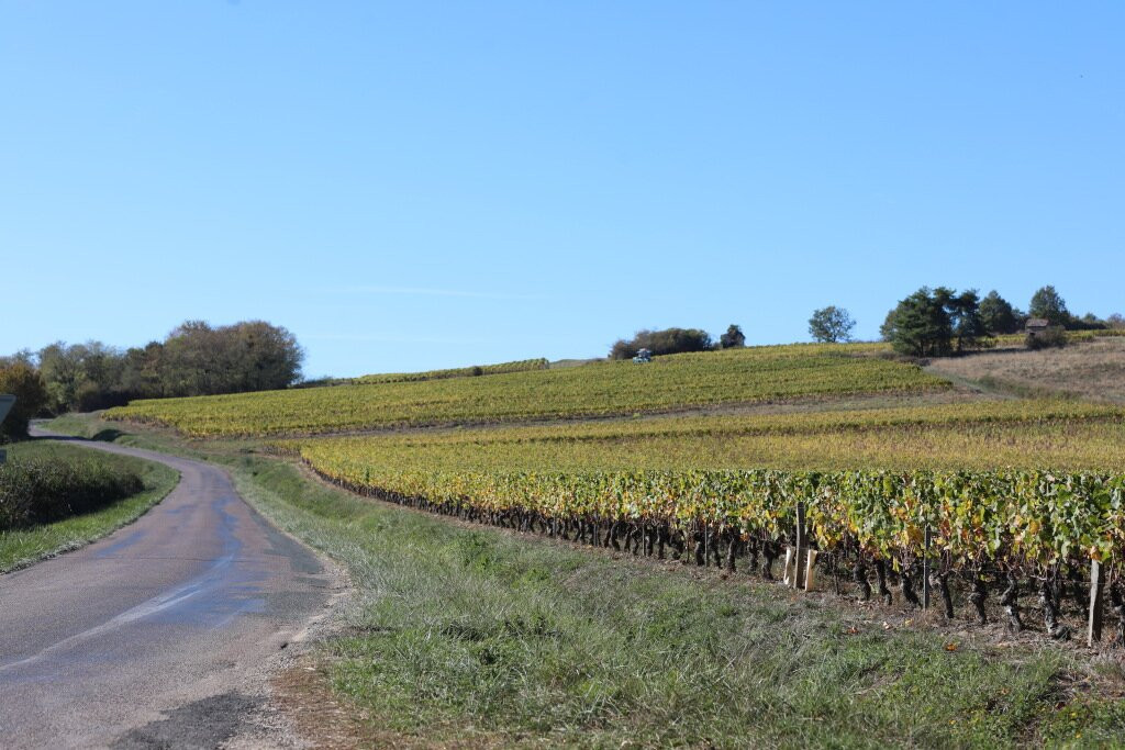 Mairie de Bissey-sous-Cruchaud-Bissey-sous-Cruchaud必去景点