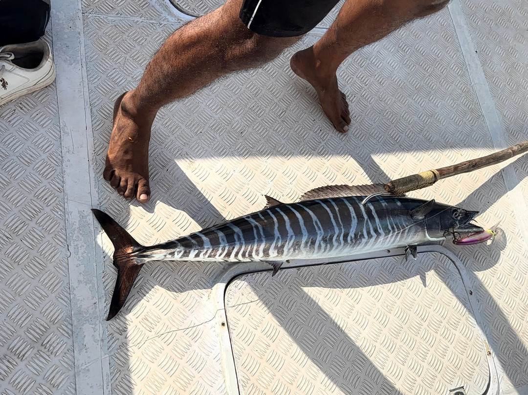 Bite Me Charters-布莱尔港必去景点