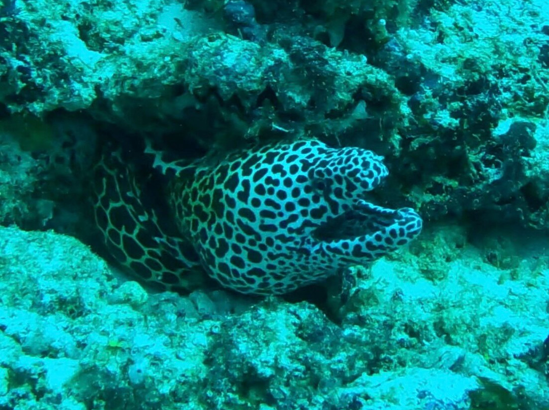 Himmafushi Scuba Adventure-Himmafushi Island必去景点