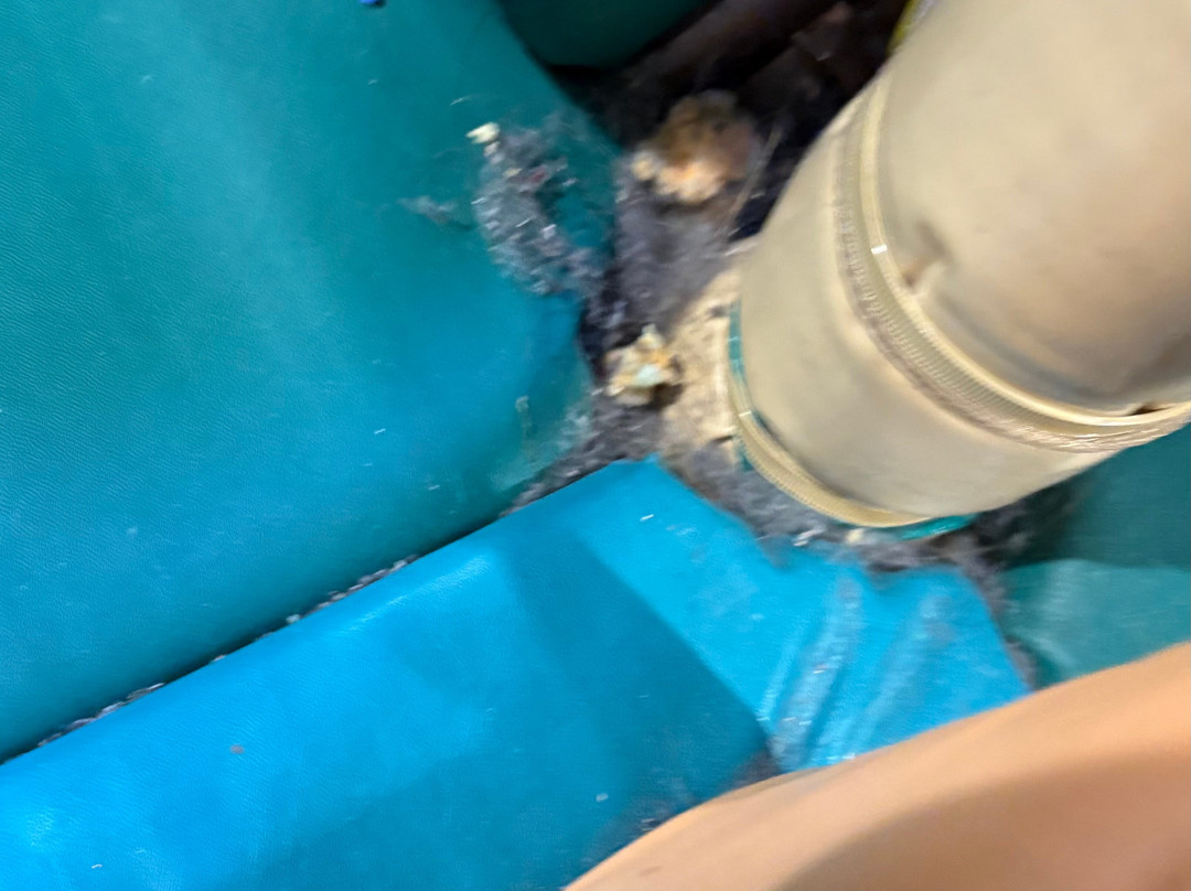 My Dreamland Osny-Osny必去景点