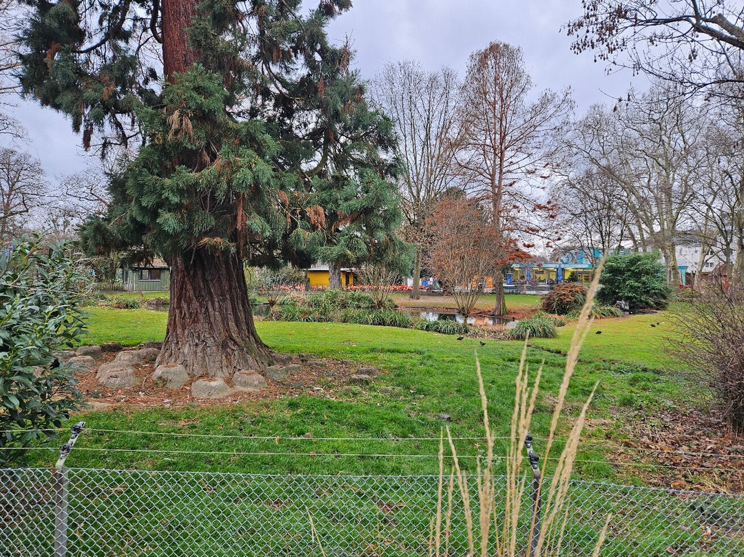 科隆动物园-科隆必去景点