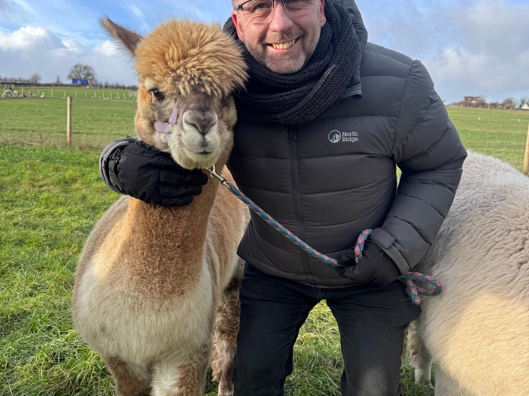 Natterjack Alpacas-Ormskirk必去景点