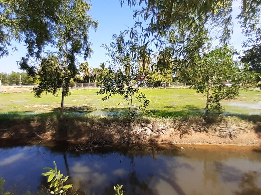 Meas Family Homestay主图