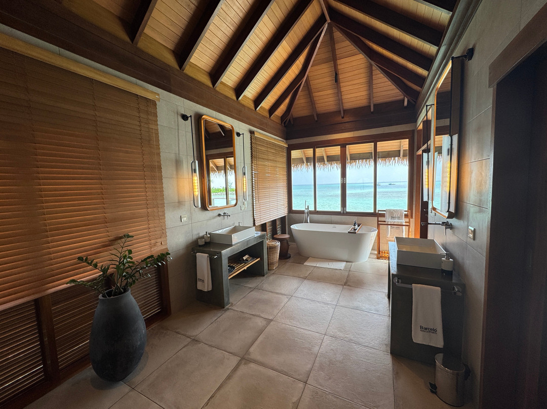 Hotel Whale Lagoon Maldives主图