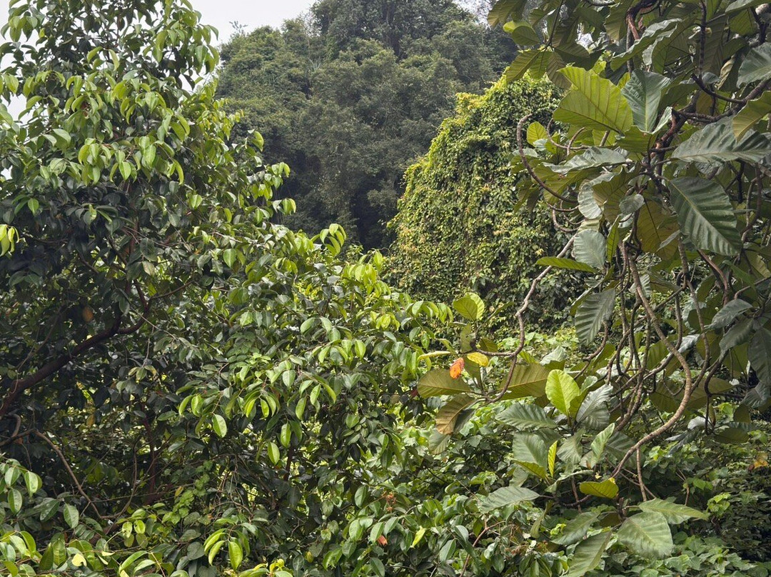 Taman Rekreasi Gunung Lang-怡保必去景点