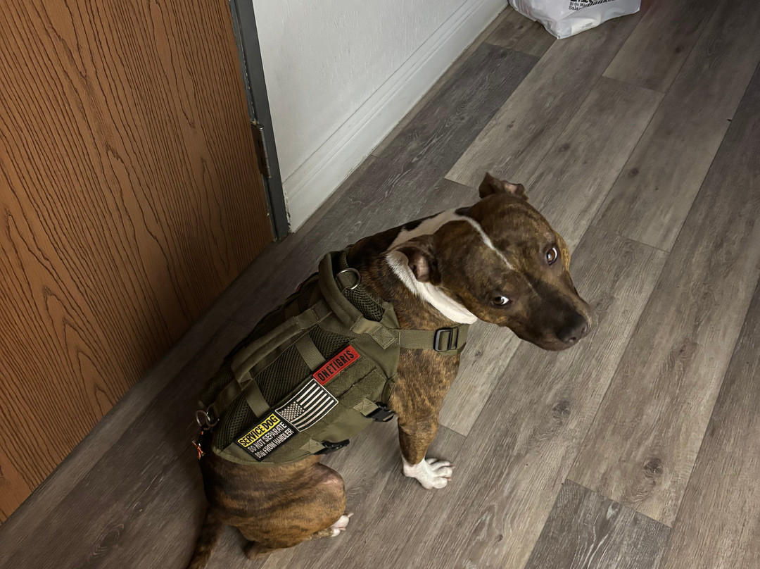 Microtel Inn & Suites by Wyndham Zephyrhills主图