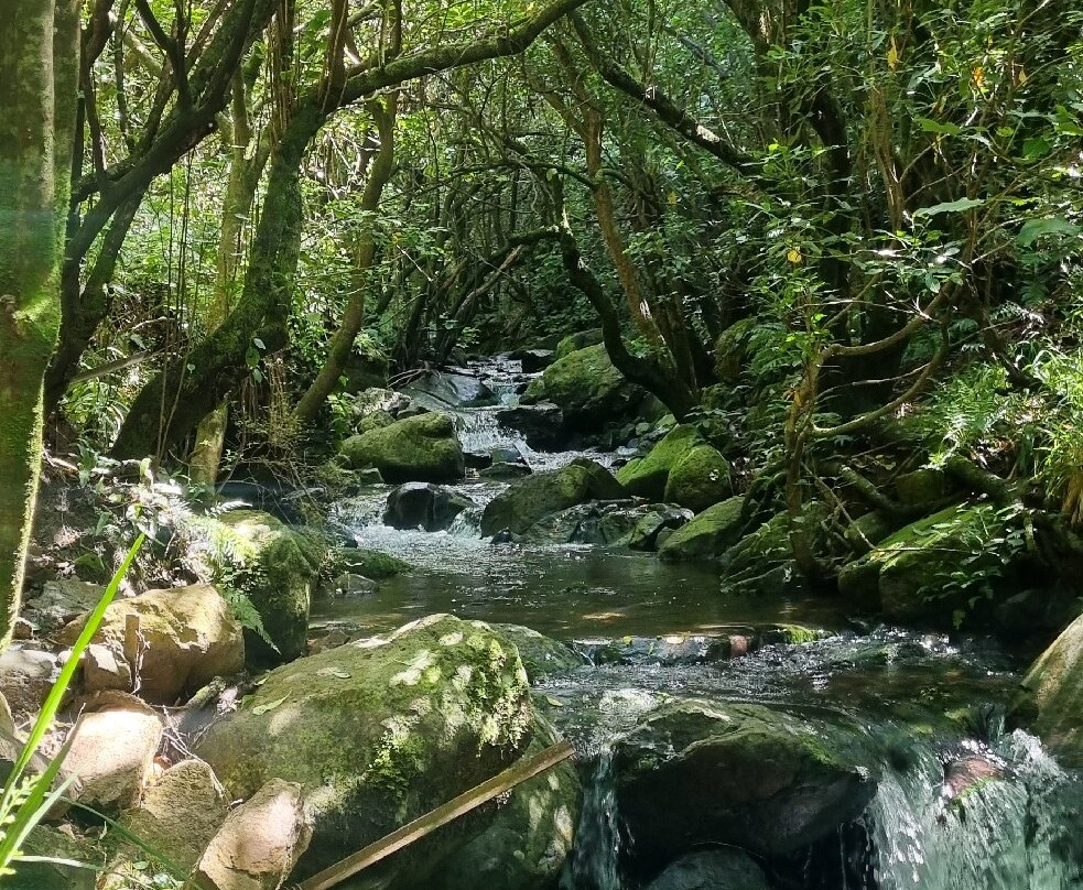 Washpen Falls-Darfield必去景点