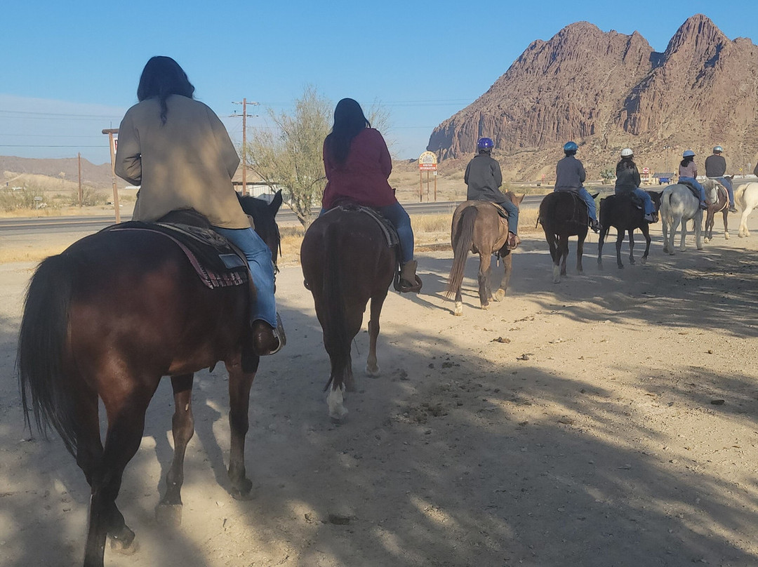 Big Bend & Lajitas Stables-Terlingua必去景点