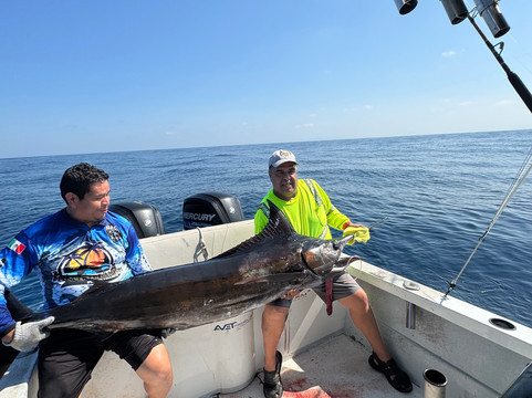 Vikingo Charters-瓦拉塔港必去景点