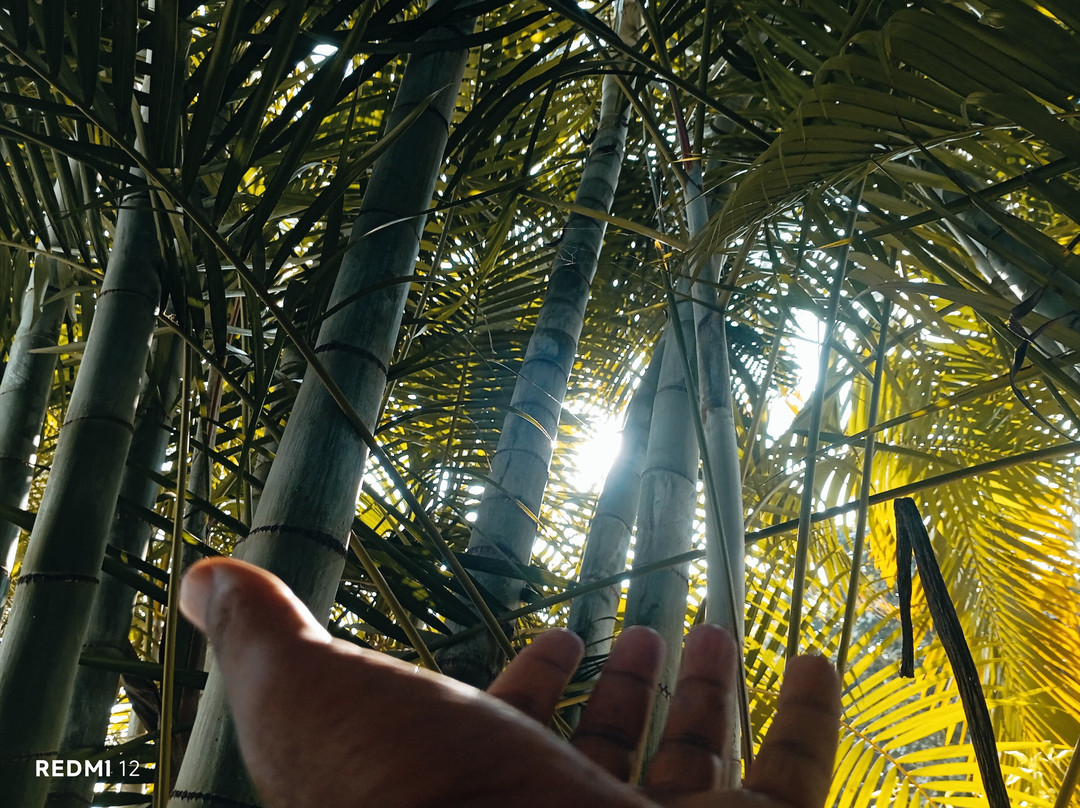 Agro-Homeopathy based Organic Botanical Herbal Garden (AHOBHAG)