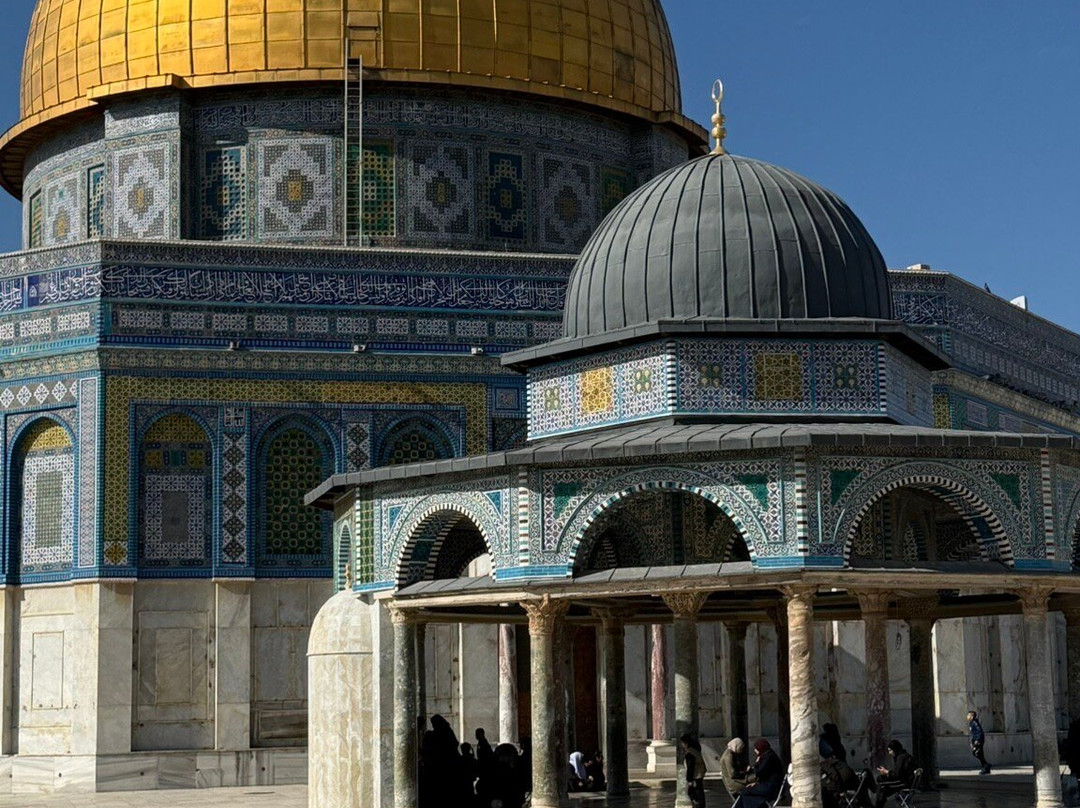 Jonathan Lipnick - Jerusalem Private Tours-耶路撒冷必去景点