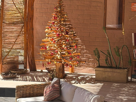 Hotel Pascual Andino主图