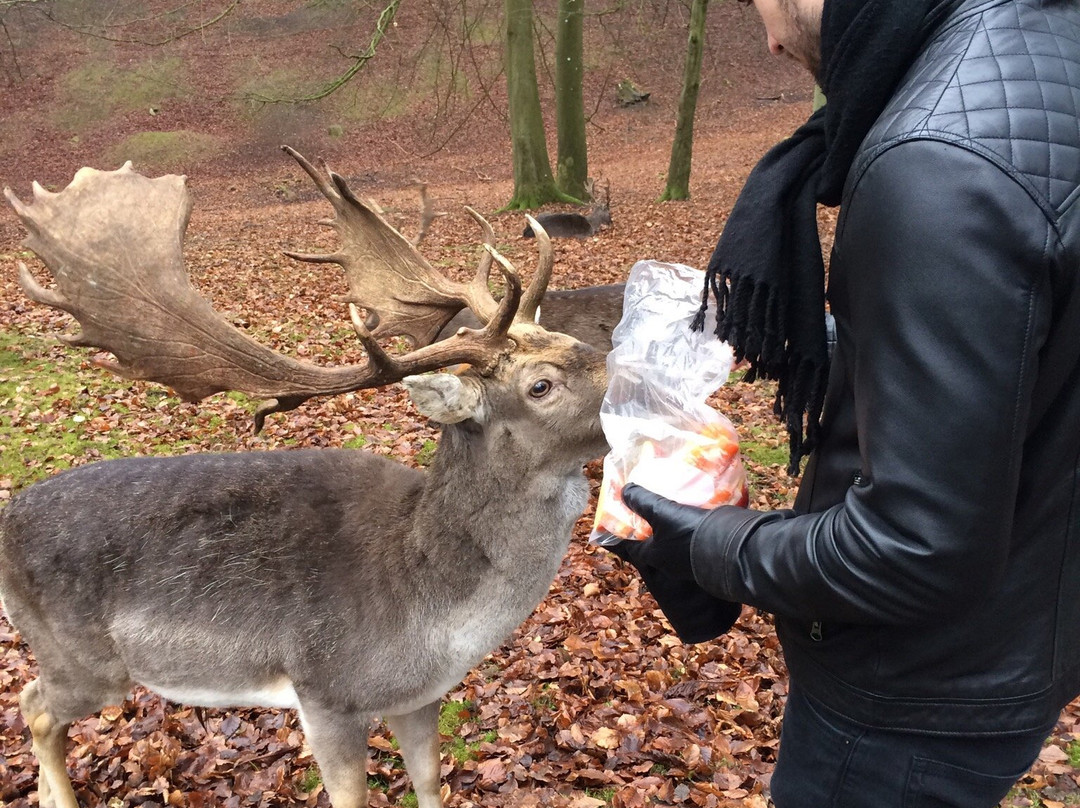 Dyrepark-Rimso必去景点