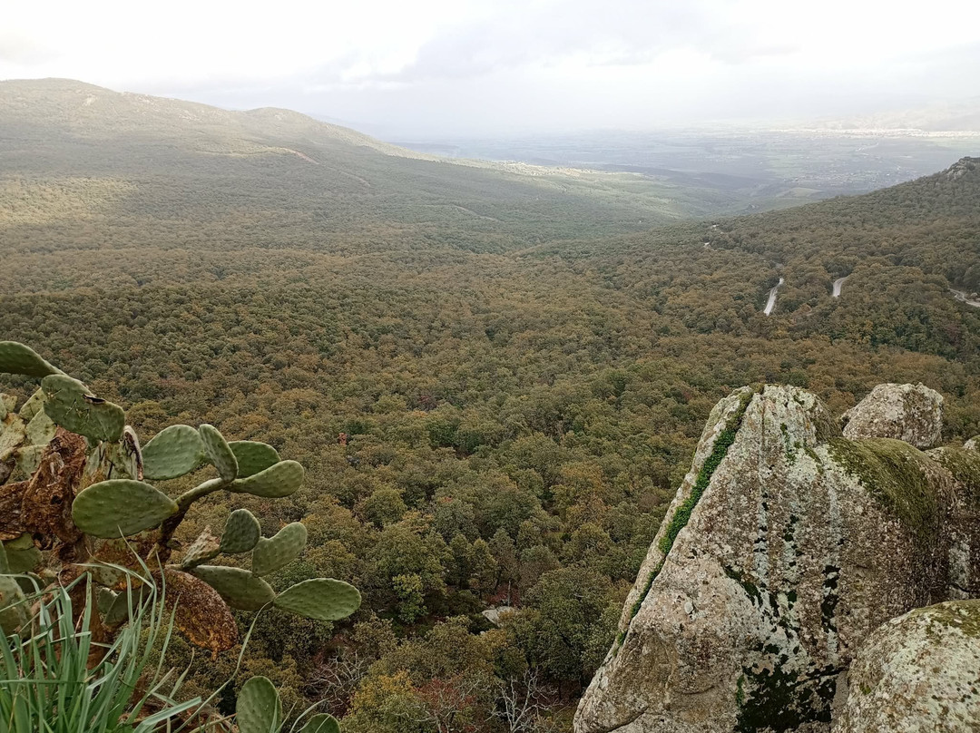 El Feija National Park-Jendouba必去景点