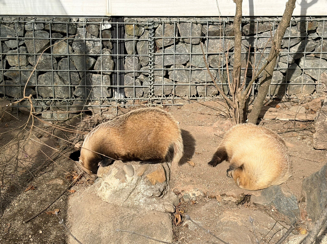 福岛水族馆-盘城市必去景点