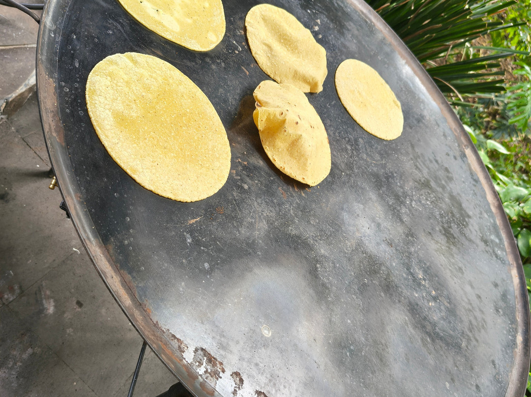 Las Jaras Aguas Termales主图