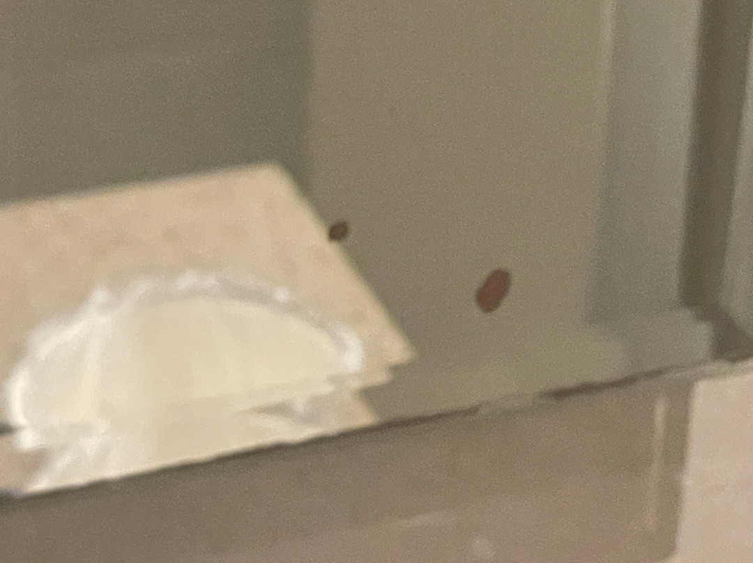 奥托奈斯派索酒店主图