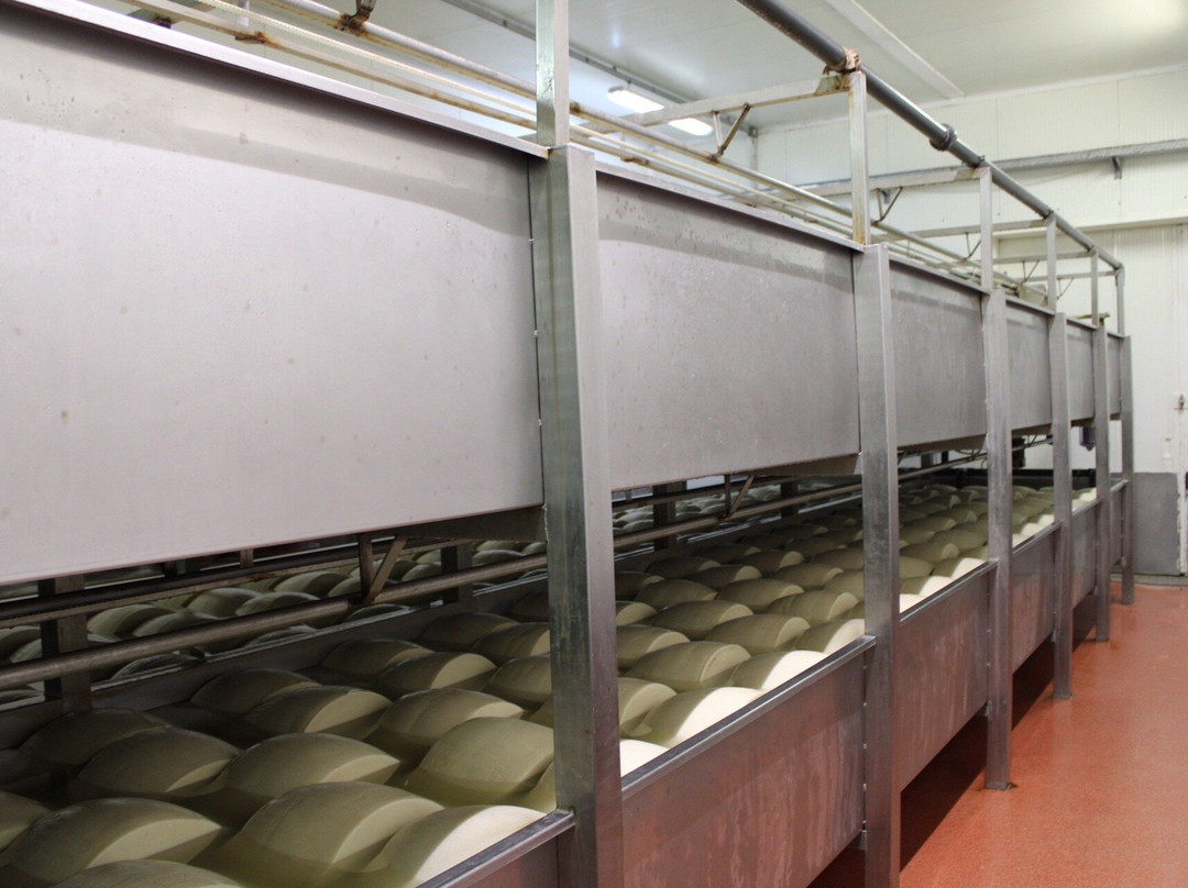 Caseificio Bio Reggiani-Recovato必去景点