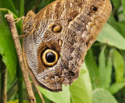 Our Panama-巴拿马城必去景点