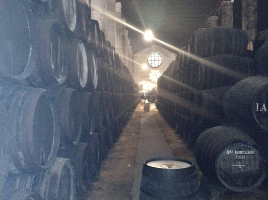 Bodegas Hidalgo La Gitana-Sanlucar de Barrameda必去景点