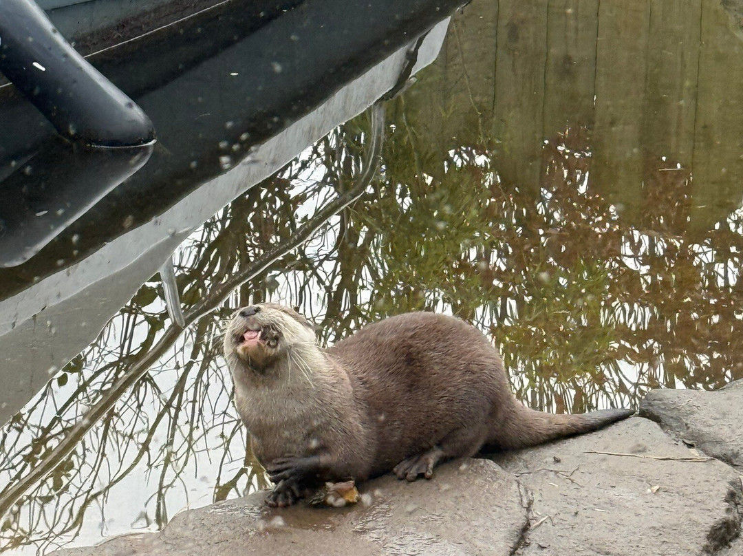 Exotic Zoo Wildlife Park + Natural History & Dino Museum-特尔福德必去景点